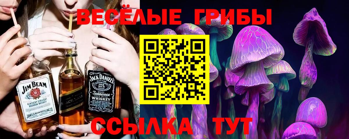 Галлюциногенные грибы Magic Shrooms Алапаевск